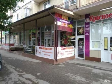 магазин Zooмаркет в Ессентуках