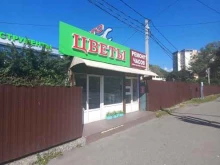 Ремонт мобильных телефонов Ремонтная мастерская в Сочи