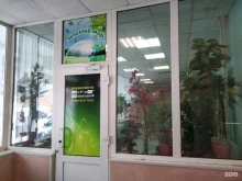 магазин искусственных цветов и деревьев Зеленый мир в Архангельске