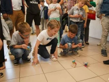 Детские / подростковые клубы Школа цифровых технологий в Курске