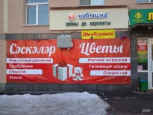 салон цветов Oasis в Уфе