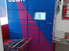 автоматизированный пункт выдачи Ozon box в Домодедово