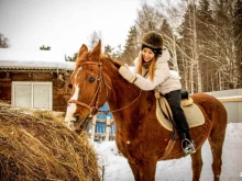 конноспортивный клуб МИР в Екатеринбурге