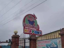 оптово-розничная компания Hellotoy в Ангарске