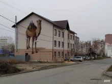 ЦЕНТР СОПРОВОЖДЕНИЯ КАДАСТРОВЫХ РАБОТ, Дальневосточная, 3 