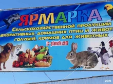 Цветы Цветочная ярмарка в Краснодаре