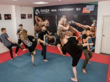 академия единоборств Панда в Иркутске