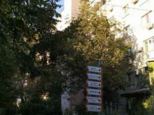 борцовский клуб Ippon в Краснодаре
