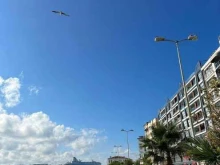 компания по организации круизов из Сочи в Стамбул Astoria grande в Сочи