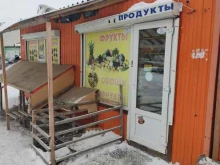 Киоск по продаже фруктов и овощей, Ленина, 241/1 