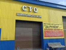 Золотой теленок, улица Радищева, 27а/2 