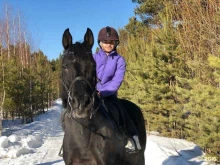 частная конюшня For_rest_horse в Екатеринбурге