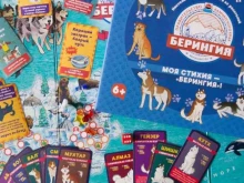 магазин хороших книг, добрых игр и подарков Бархатята в Петропавловске-Камчатском