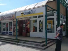 платежный терминал билайн в Гатчине