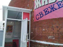 магазин разливного пива Золотая пена в Тольятти
