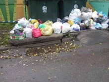 компания по вывозу мусора Чистый Город в Кемерово