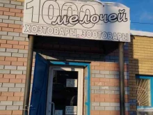 магазин хозтоваров 1000 мелочей в Боре