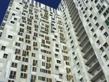 кинологический клуб Умничка в Перми