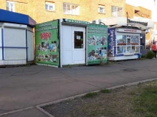 магазин кондитерских изделий Казахстан в Братске