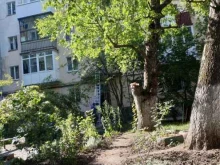 магазин цветов Лаванда в Ставрополе