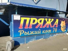 Рыжий кот 74, проспект Победы, 388 