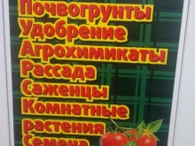 Семена / Посадочный материал Сад-Огород в Новосибирске