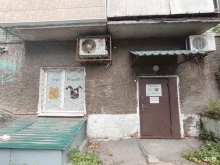 Услуги по уходу за животными Best friends в Владивостоке