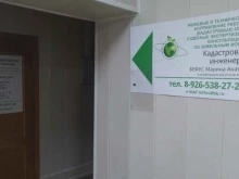 Геодезические работы Кадастровый инженер Бефус М.А. в Ликино-Дулёво