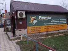 интернет-провайдер Pautina в Махачкале