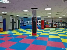 стадион Труд в Подольске