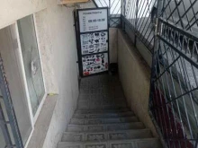 компания Алекса в Элисте