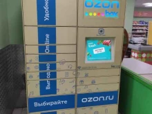 автоматизированный пункт выдачи OZON Box в Казани