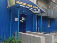 Спортивно-интеллектуальные клубы Городской шахматный клуб в Димитровграде