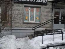 Гламурная собачка, Щёлковский проезд, 4 