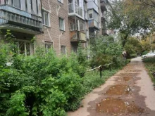 кинологический клуб Умничка в Перми