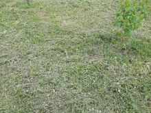 управляющая компания Городок в Липецке
