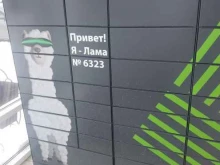 постамат №6323 OmniCDEK в Тамбове