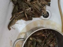 магазин Бавария в Астрахани
