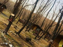 база отдыха Гринвилль в Находке
