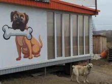 компания по продаже мяса для собак Сытая морда в Красноярске