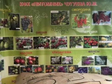 фермерское хозяйство Питомник в Смоленске