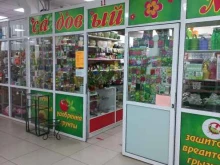 магазин Садовый мир в Иркутске
