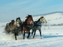 конный клуб Серьга в Улан-Удэ