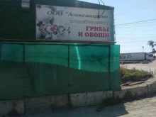 торговая компания Александрово в Челябинске