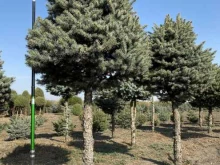 компания Крупномеры Кавказа в Пятигорске