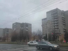 камерный театр кукол Морошка в Калининграде