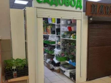 магазин садово-хозяйственных товаров Садовод в Перми