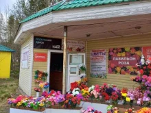 магазин цветов Роза в Кандалакше
