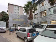 Сочигоргаз, Дмитриевой, 54 