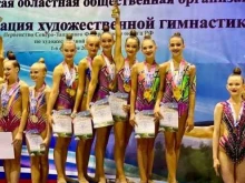 Спортивные школы СШОР №12 по художественной гимнастике в Мурманске